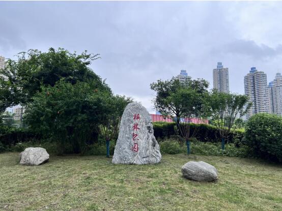 云顶国际