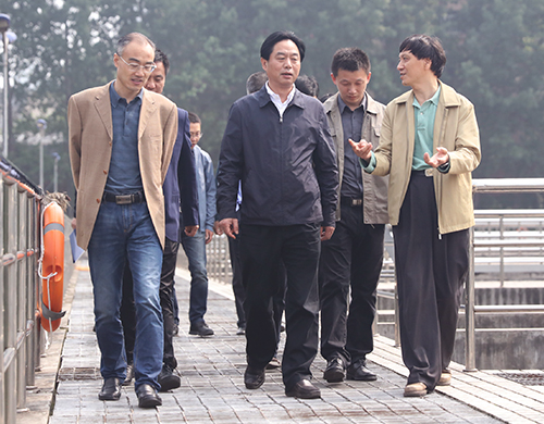 云顶国际