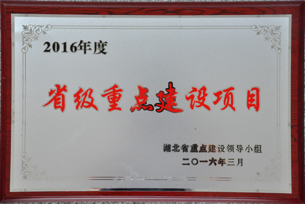 云顶国际