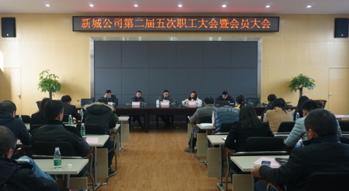 云顶国际