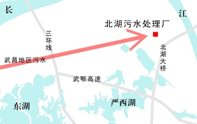 云顶国际