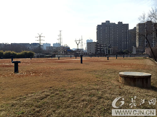云顶国际