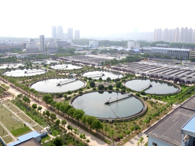 云顶国际