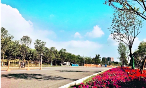 云顶国际