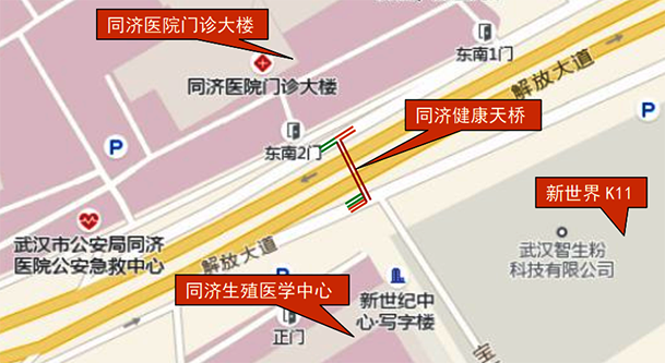云顶国际