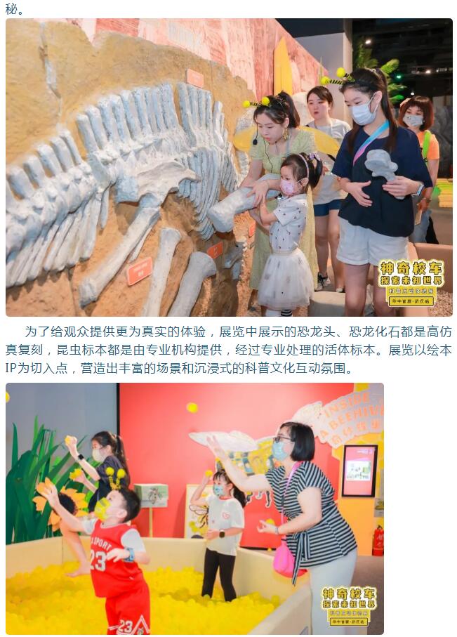 云顶国际